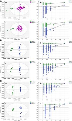 Metabolomics profiling of AKT/c-Met-induced hepatocellular carcinogenesis and the inhibitory effect of Cucurbitacin B in mice